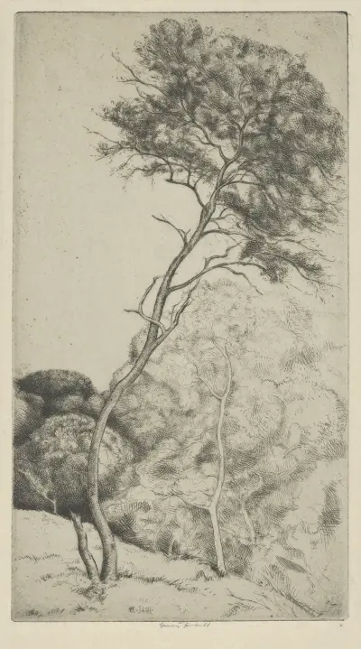 The Wand av Ernest Haskell