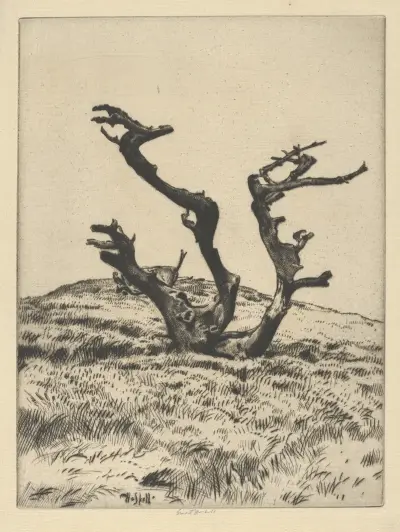 Tre häxor av Ernest Haskell