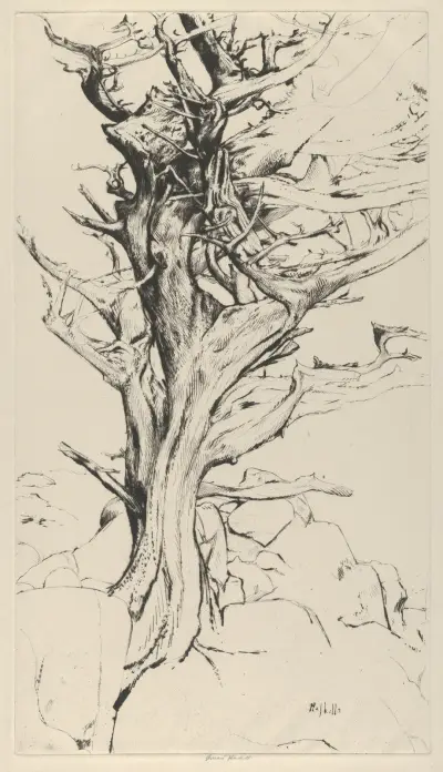 Torse of the Witch av Ernest Haskell