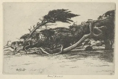 Vindböjd cypress av Ernest Haskell