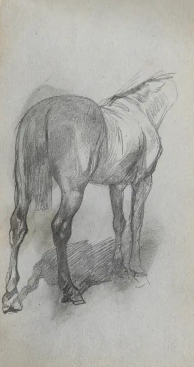 Study of a Horse 6 av Ernest Meissonier