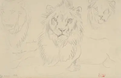 A Lion, Full Face av Eugène Delacroix