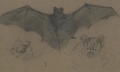 Bat av Eugène Delacroix