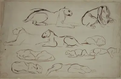 Studienblatt mit Löwen und Tigern von Eugène Delacroix
