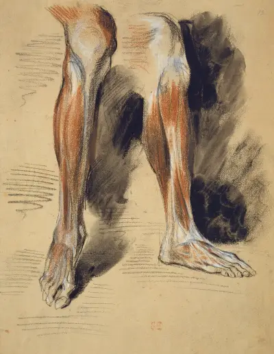 Studies of a right Leg av Eugène Delacroix
