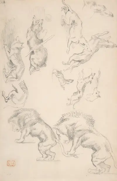 Studies of Animals av Eugène Delacroix