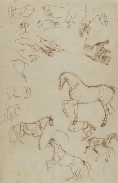 Studies of Horses, Hands, and Feet av Eugène Delacroix