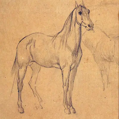 Häst (studie) av Eugène Fromentin