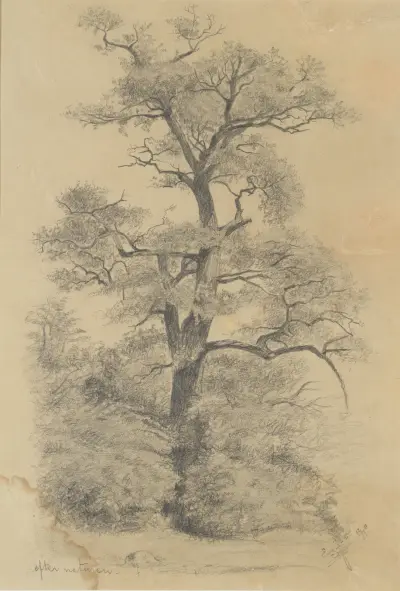 Z natury, Eugène Jansson