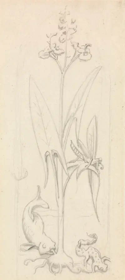 Stained Glass Study, Water Plant with Grasshoper, Fish and Newt – nr 2 av Sir John Everett Millais