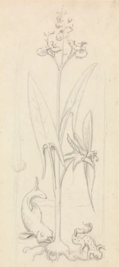 Stained Glass Study, Water Plant with Grasshoper, Fish and Newt – nr 1 av Sir John Everett Millais