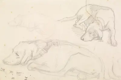 Three Studies of a Sleeping Dog av Sir John Everett Millais