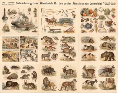 9 images related to everyday life, animals, vegetables av J.F. Schreiber