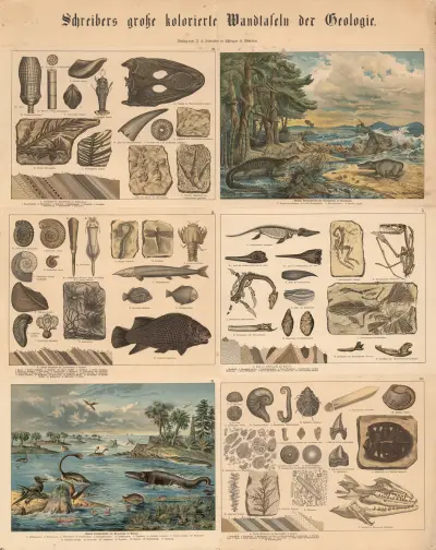 Animal and plant life, 1885 – nr 1 av J.F. Schreiber