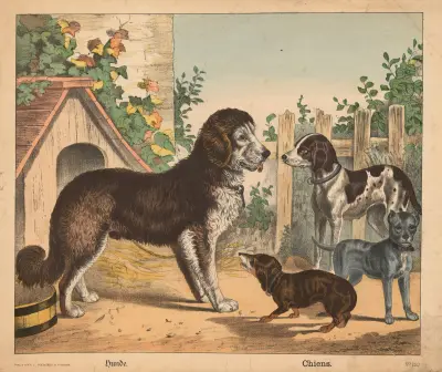 Dogs av J.F. Schreiber