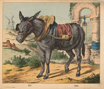 Donkey av J.F. Schreiber