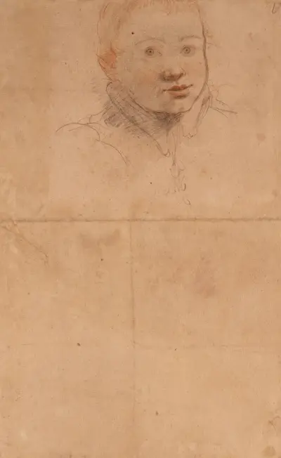 Study of a Young Man av Federico Zuccaro