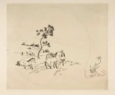 A Field av Félix Bracquemond