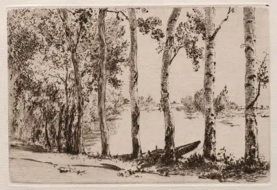 Aspar vid Seines strand av Félix Bracquemond
