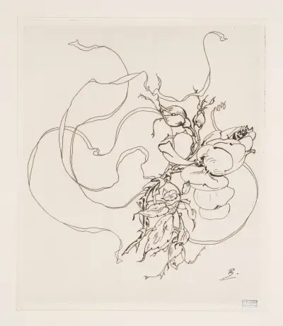 Tallrik (ros). av Félix Bracquemond