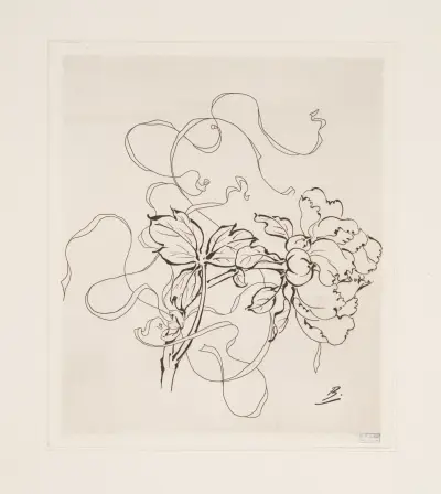 Assiette (pivoine). av Félix Bracquemond