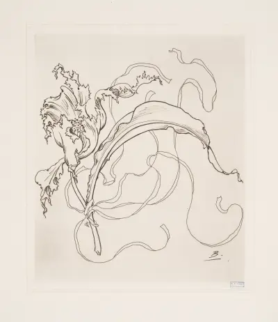 Assiette (tulipe). av Félix Bracquemond