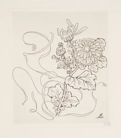 Tallrik (prästkrage) av Félix Bracquemond
