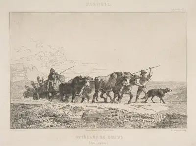 Cattle Team (Haut-Dauphiné) av Félix Bracquemond