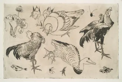 Coqs, canards, etc av Félix Bracquemond
