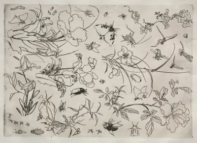 Dinner Service (Rousseau service); Flowers and Insects (no. 15) av Félix Bracquemond