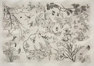 Dinner Service (Rousseau service); Flowers (no. 22), 1866 – nr 1 av Félix Bracquemond