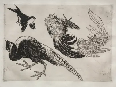 Dinner Service (Rousseau service); Pheasants and bird (no. 18) av Félix Bracquemond