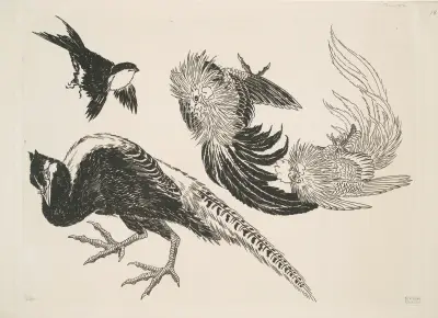 Faisans, oiseaux av Félix Bracquemond