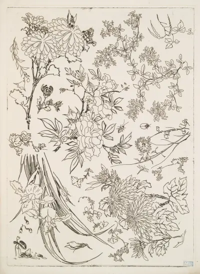 Blommor av Félix Bracquemond