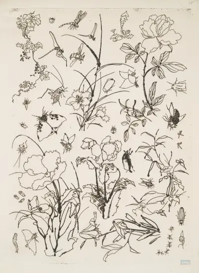 Blommor och insekter av Félix Bracquemond
