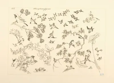 Japanska blommor och fåglar av Félix Bracquemond
