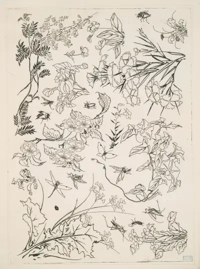 Blommor av Félix Bracquemond