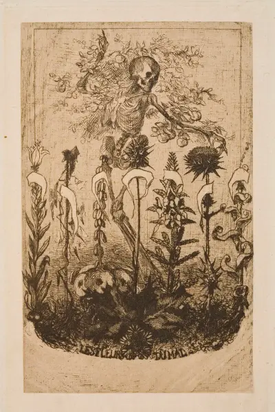 Titelbild till 'Les Fleurs du Mal' av Charles Baudelaire av Félix Bracquemond