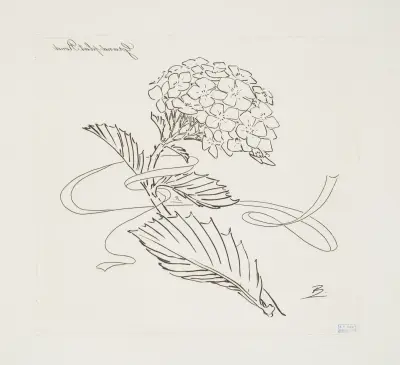 Stor rund tallrik [hortensia] av Félix Bracquemond
