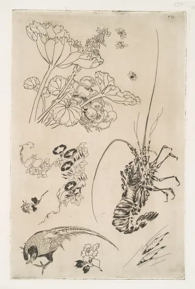 Langouste, plantes avec oiseaux av Félix Bracquemond