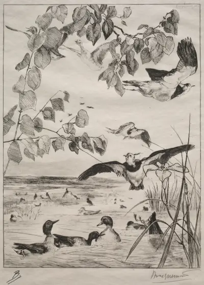 Lapwings and Teals av Félix Bracquemond