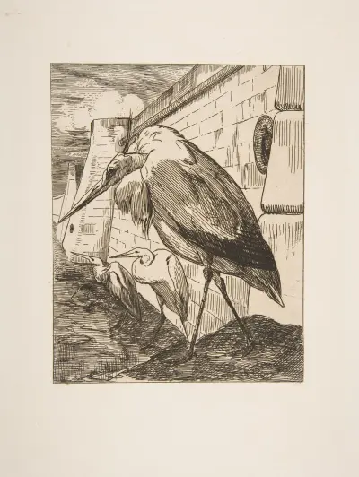 Storkarna av Félix Bracquemond