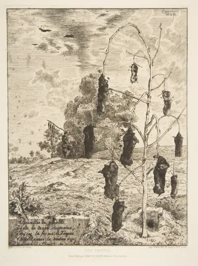 Mullvadar av Félix Bracquemond