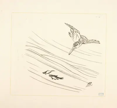 Martin-pêcheur, deux petits poissons. av Félix Bracquemond