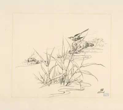 Oiseau sur une pierre, devant des roseaux. av Félix Bracquemond