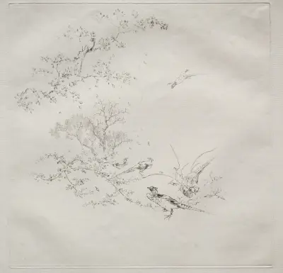 Parisian Service (Haviland service) av Félix Bracquemond