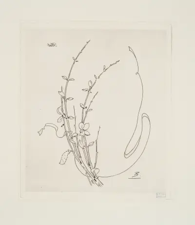 Plat [genêt]. av Félix Bracquemond