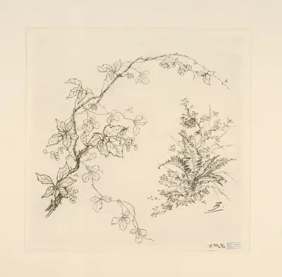 Ronce. av Félix Bracquemond