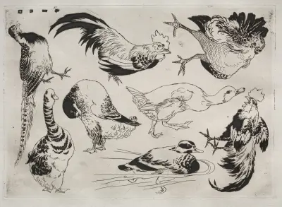 Roosters, ducks, etc. av Félix Bracquemond