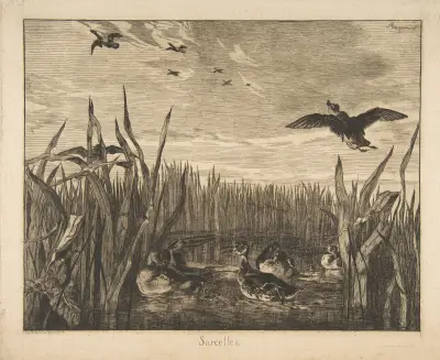 Sarcelles av Félix Bracquemond